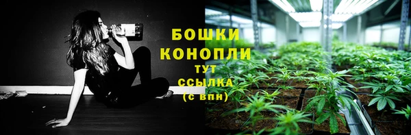 крисы Каменка