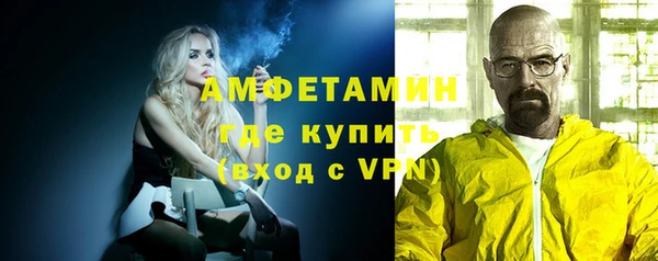 прущие грибы Абаза