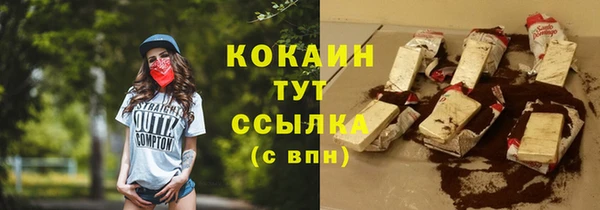 прущие грибы Абаза