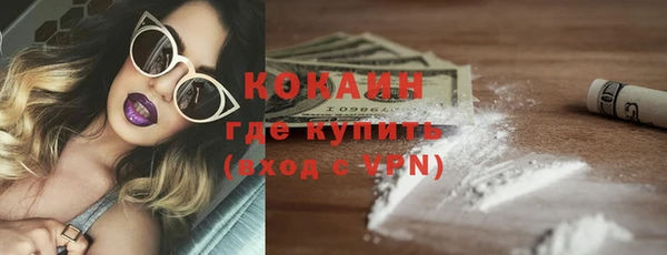 прущие грибы Абаза