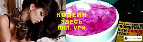 прущие грибы Абаза
