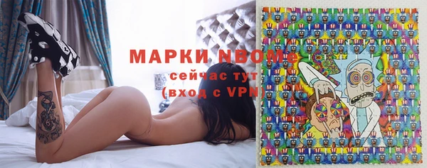 прущие грибы Абаза