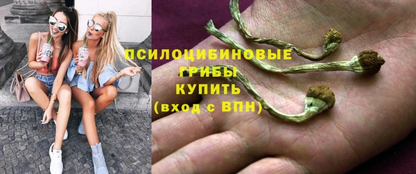 прущие грибы Абаза