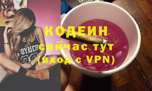 прущие грибы Абаза