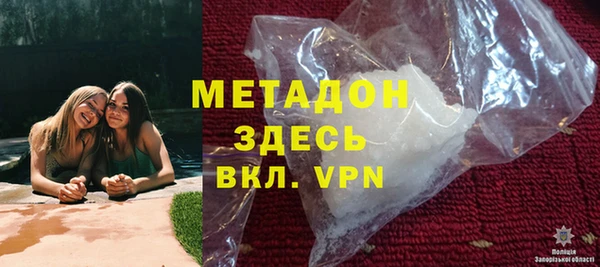 прущие грибы Абаза
