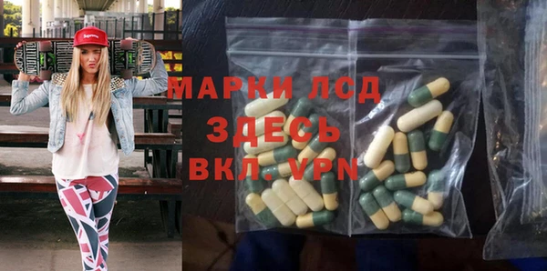 прущие грибы Абаза